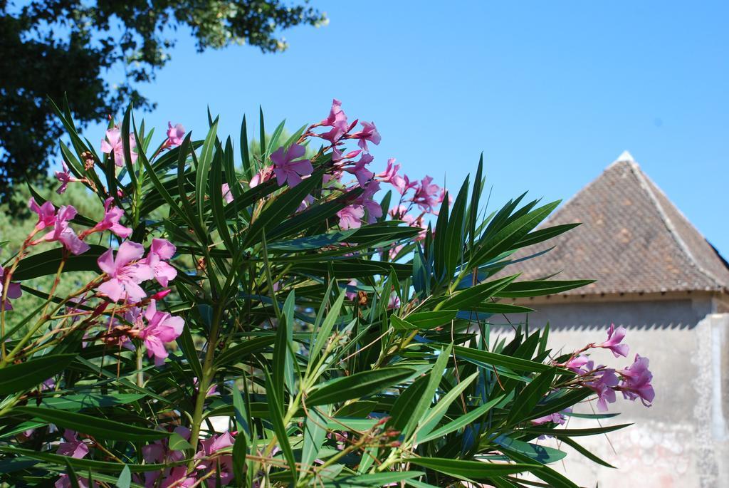 Chateau Neuf Le Desert Le Pizou Exterior photo